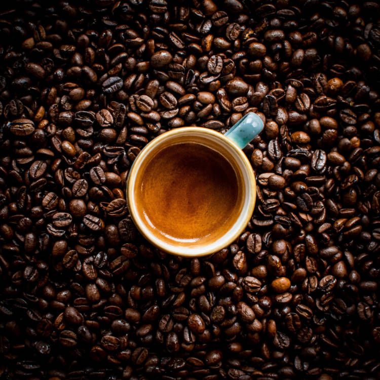 Our Coffees.