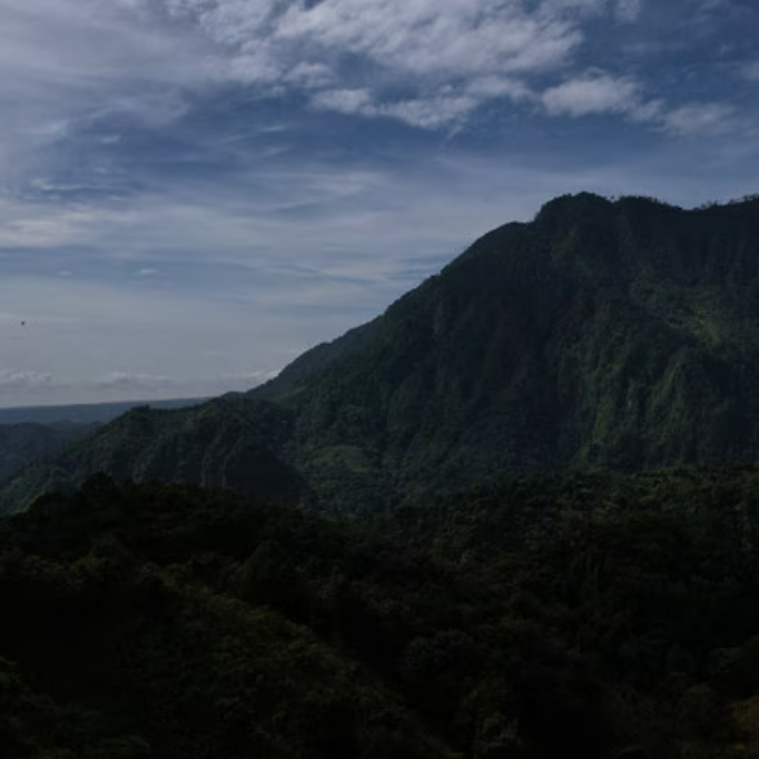 Mexico Veracruz Mountain Water DECAF