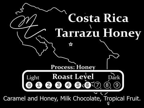 Costa Rica Tarrazu Honey - Jaguar Special